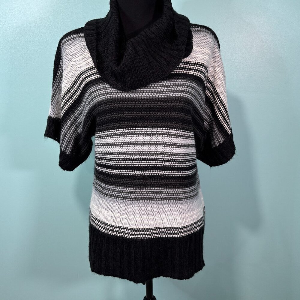 Derek Heart Sweater 2X    Lot J